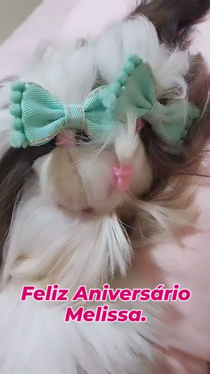 Melissa você veio para alegrar nossos dias. Feliz Aniversário meu amor. #cachorro