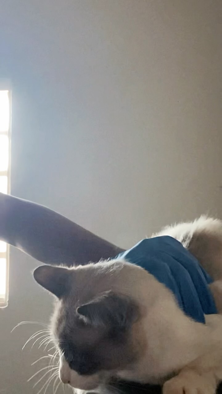 + 1 dia e aqui estamos… 💙 obrigado por tudo e por continuarem aqui