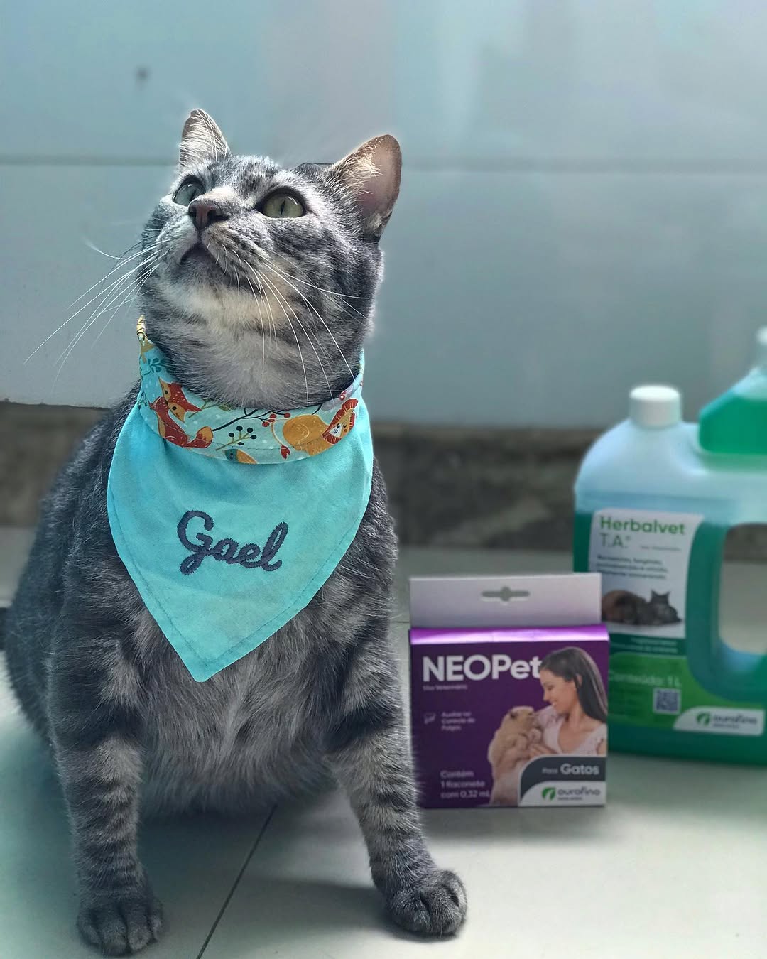 um recado super importante pra vocês amicats! A ourofino saúde animal sabe o quanto faz bem cuidar da relação de nos pets, pois são um mercado de saúde animal desde 2000. A @ourofinopet é uma linha que reúne anti-inflamatórios, antimicrobianos, dermatológicos , desinfetantes bactericida , fungicida e viricida, altamente concentrado (alem de eliminarem odores do ambiente com sua fragrância herbal). Eles também trabalham com auxiliadores no controle de pulgas , suplementos e entre uma grande varie