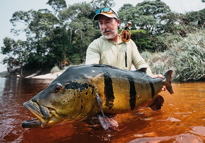 NEW IGFA WORLD RECORD 

When IGFA sent us this note a few days ago, I was still feeling the thrill of just welcoming my new baby, Laura, to this world. I’m amazed to have the kind of luck to land giant peacock bass on the Rio Marié, and this is proof that anglers can land world record peacock bass on fly.
Roughly one year after landing the new IGFA world record peacock bass in all length with 91 cm. in early September 2021, I got this amazing 92 cm / 25.3 lbs. fish. It was just another beautiful