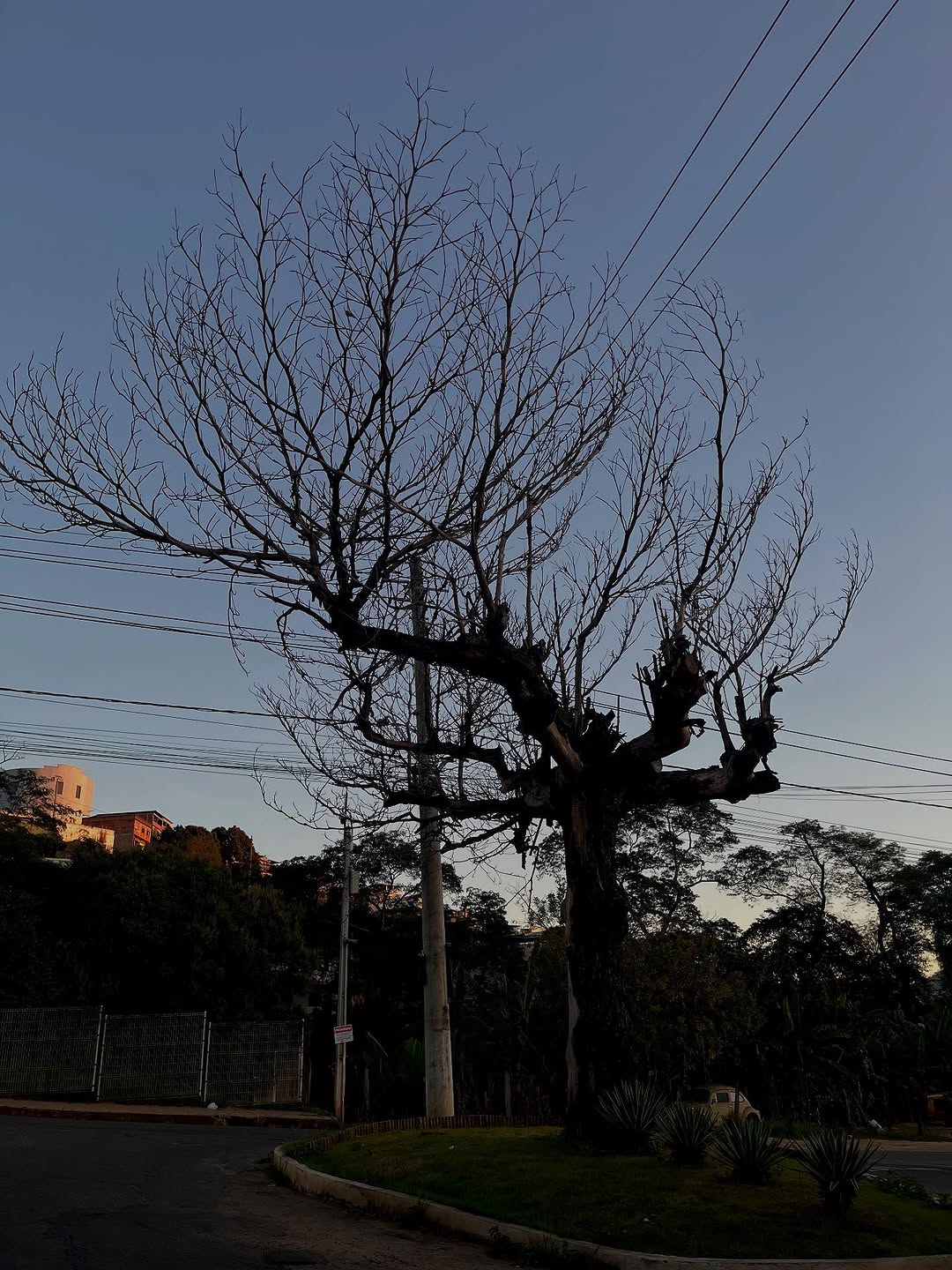 E a vida se refaz o tempo todo🔮🪬🖤📝
Muriaé, agosto 2025.