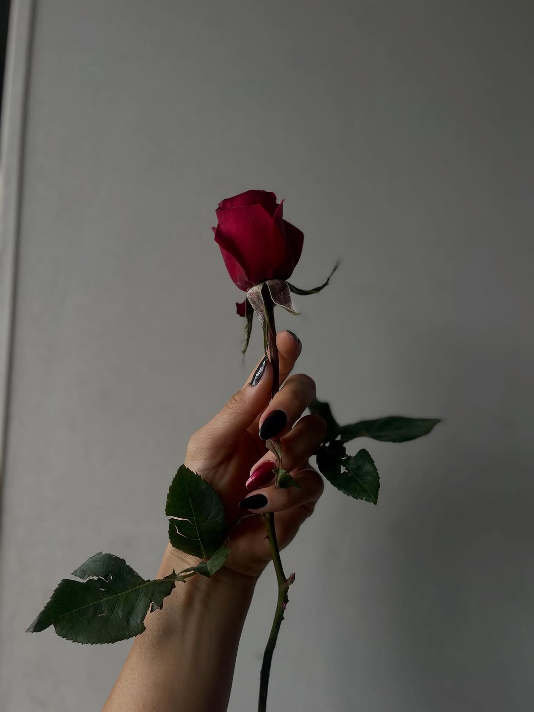 Só tem medo do inferno, quem nunca passou por ele. Eu aprendi a caminhar com confiança e cabeça erguida. Assim, todos os obstáculos tornaram-se pequenos diante da minha grandeza e ao manipular o caos entendi que não só faço parte, como gosto dele rs. Não existe plenitude, preenchemo-nos com o que mais faz sentido para nós para que seja possível construir a nossa identidade e consequentemente nos identificamos com o outro e com os grupos. Mas, quando sustentamos o vazio existencial inerente à tod