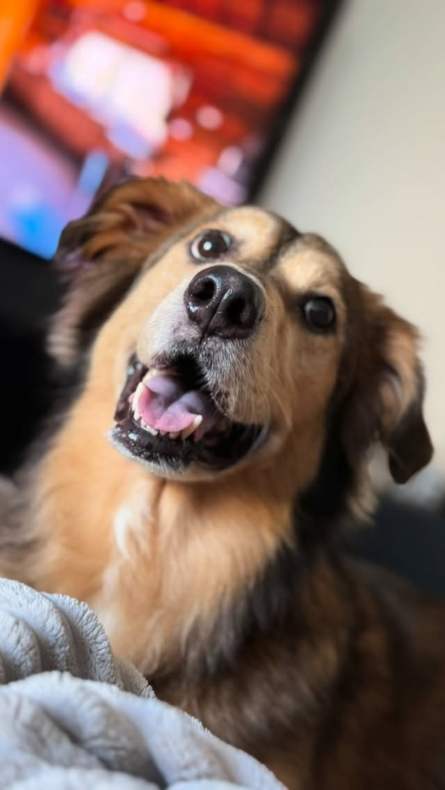 ❤️🥰