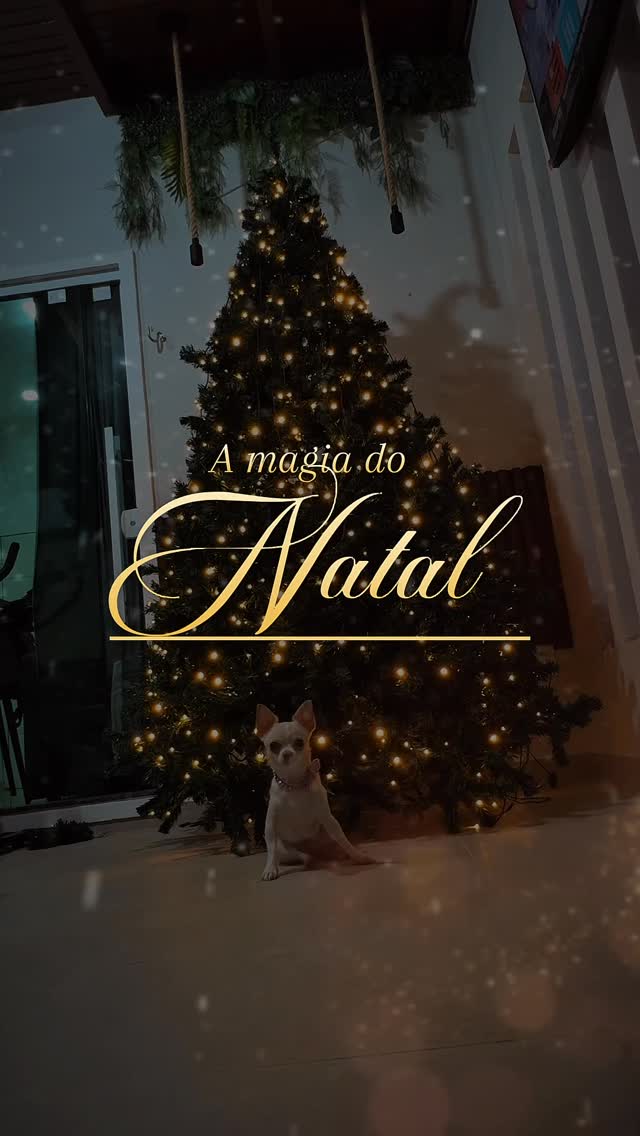 Por aqui nosso Natal já começou! 🎄✨
.
.
.
.
.
.
.
.
#natal #natal2025 #decoraçãodenatal #Navidad #decoracionnavideña #christmasdecoration #christmas