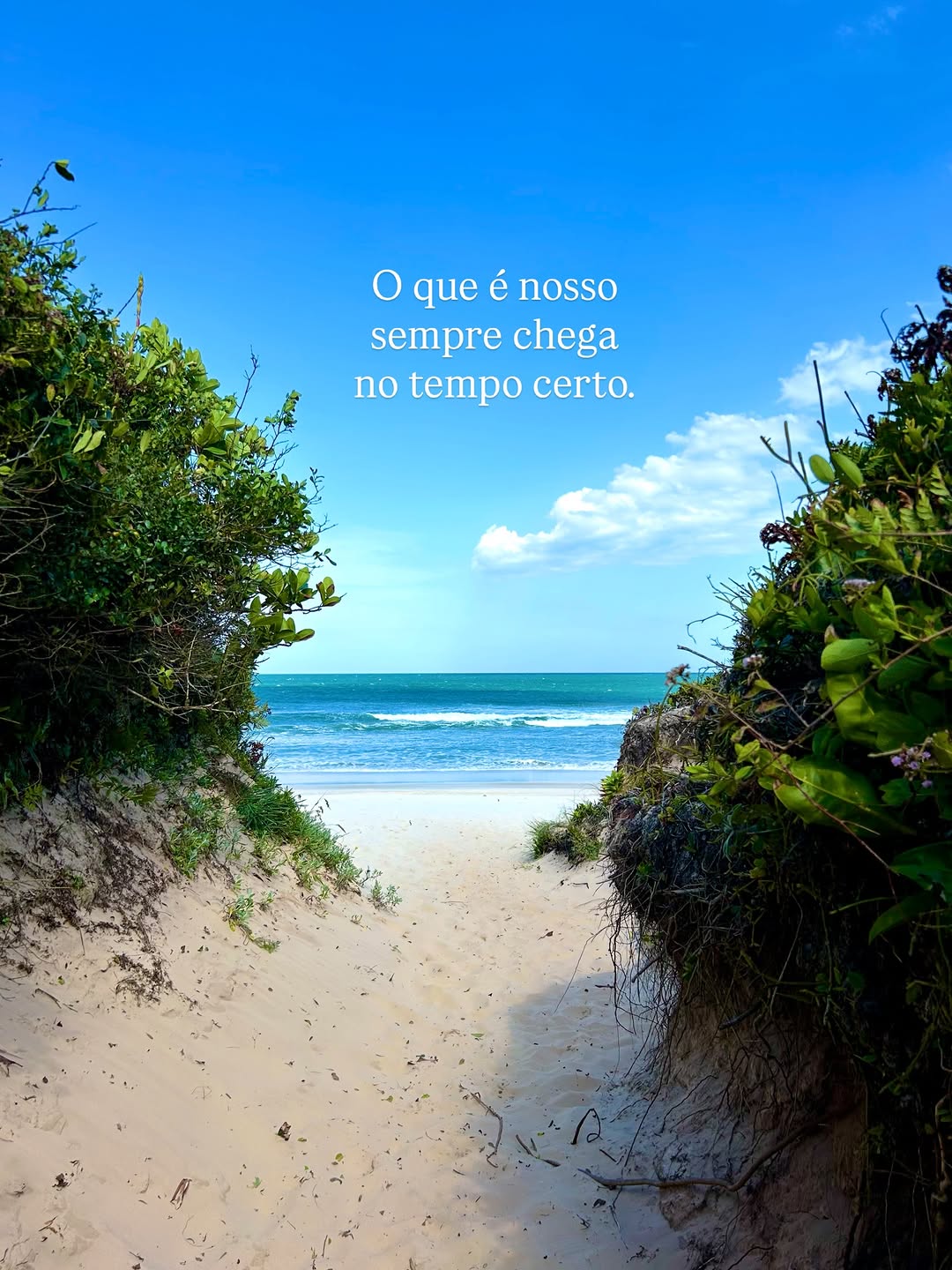 🩵 Lavando a alma nos últimos suspiros de 2025 para florescer no verão de 2026. 

#praiadorosaoficial #cervejapraya #praia #verão2026 #vibespraiana