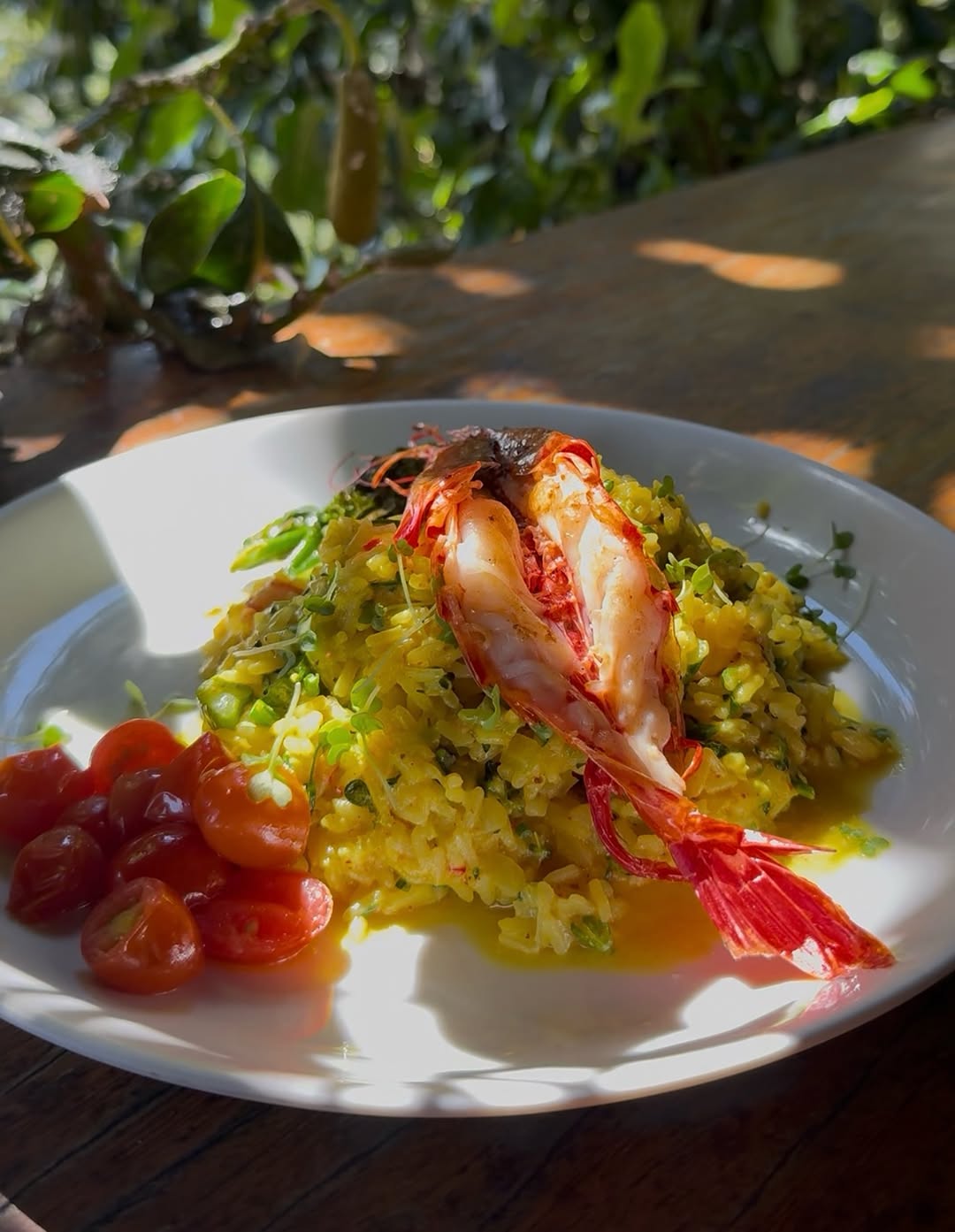 Arroz Carioca 🦐
No premiado @aprazivel 
Texturas, aromas e sabores que se encontram com elegância. 
Um prato incrível, de sabor intenso, ao mesmo tempo delicado e levemente adocicado.
Um verdadeiro clássico da gastronomia.
Preparado com arroz biodinâmico, camarão, açafrão, brócolis, gengibre, tomate-cereja e leite de coco.

#AltaGastronomia #rj 
#gastronomiabrasileira 
#MichelinStars
#nᴏᴠᴏғɪᴍ