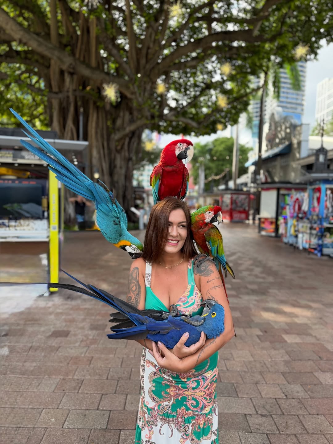 Passeando pelas ruas onde a música encontra a arte 📷 ❤️
#miami #ferias