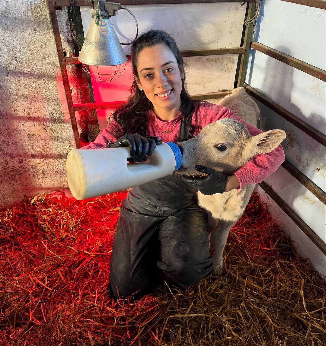 The calving season is here in Ireland, and our first little ones are already in the barn, happily sipping their bottles and getting all the care they need. Every day is full of attention and dedication to make sure they grow strong and healthy. 🐄💛

The rain keeps coming, and some pastures are still flooded, but that doesn’t slow us down! We’re taking the chance to prep the garden and plant bulbs, so in a few months the farm will burst with colors and flowers. 🌱🌷

#FarmingEurope #IrishFarms #