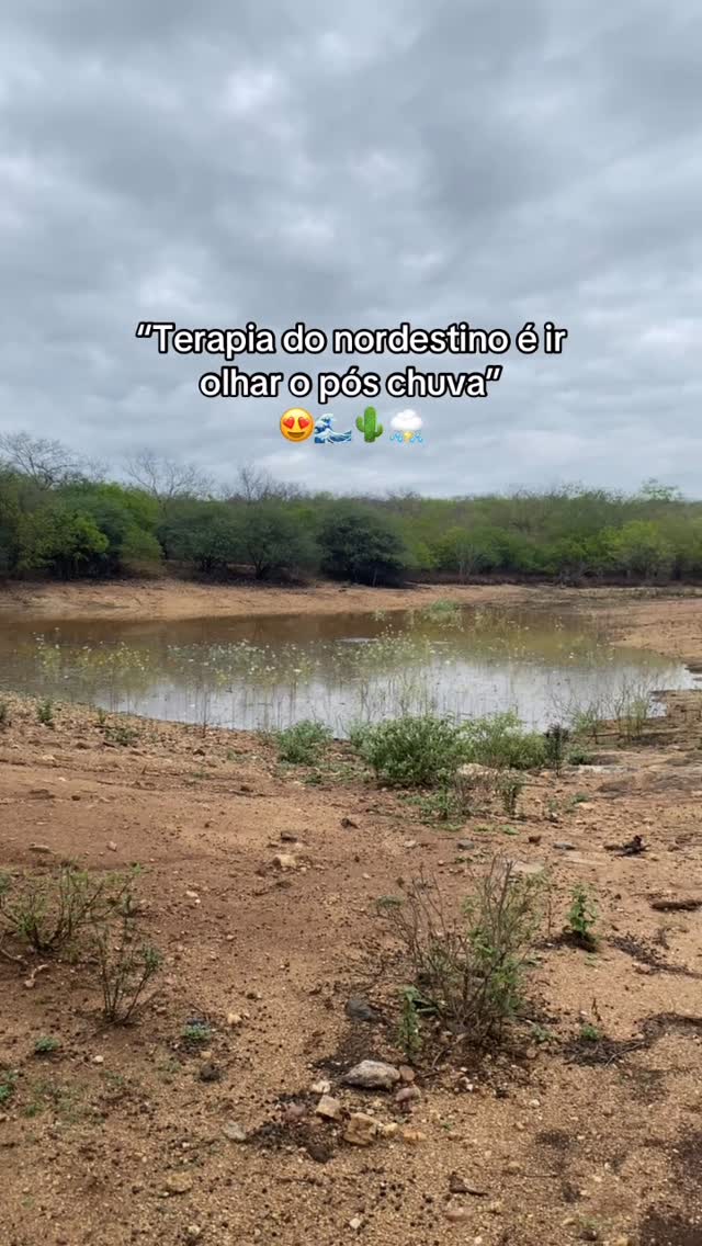 Meu nordeste, meu país 🌵❤️‍🩹
:

:

:

:

:
#nordeste #chuvas #sertao #fy #instagram