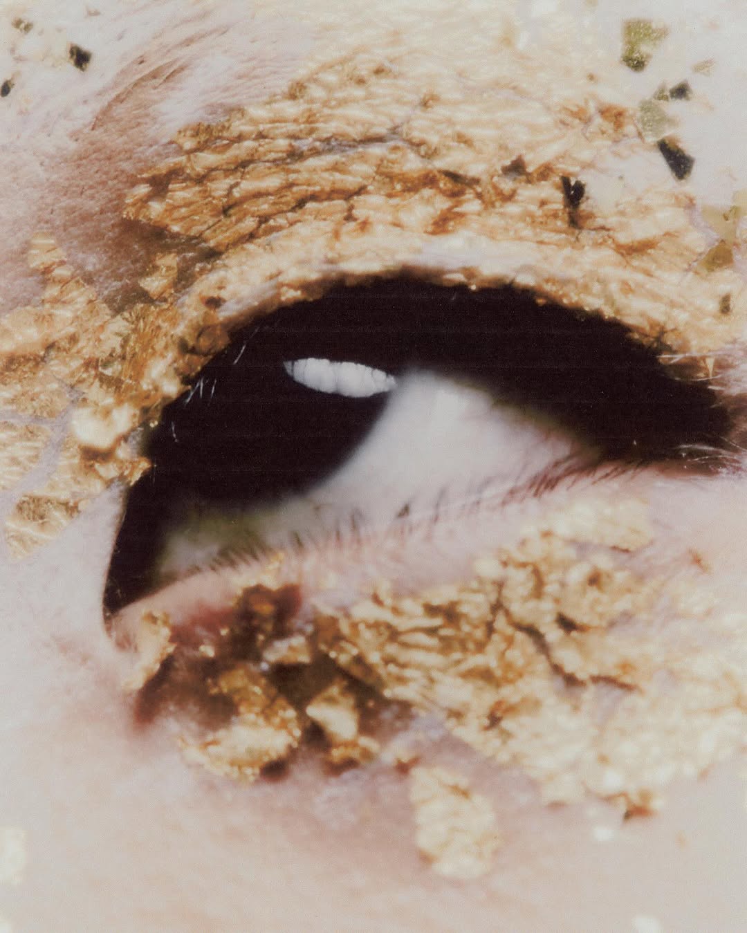 Primal Spectrum for @pap_magazine
thanks @kangdm

Beauty & Art Direction @williamcruzes @ryburk
Styling @miguelcuenca Assisted by @sousamandafnsh
Photography & Film @tom_barreto
Camera @gabrielkohari
Sound Design @diogoesimao
Gaffers @oiamoroso pedromedeiros._
Studio @leftelstudio
Support @qhl______

Starring @lunerubbi @sued.oliv @jaehchang

Fashion by @brennheisen @paolavilas @apricusart @argalji @janafavoreto @mateosquadros @abappur