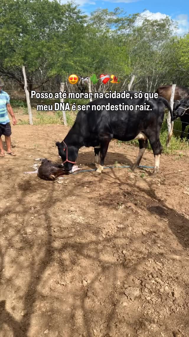 Nunca trocaria essa vida! 😍🌵
:

:

:
#nordestino #nordeste #instagram #blogueiro #instagood
