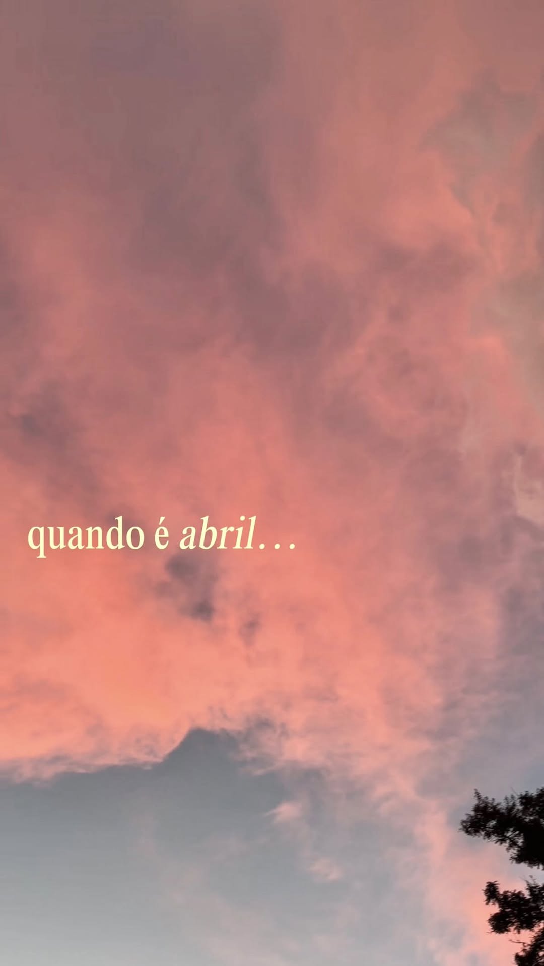 o abril mais stay de todos 🩷 

#straykids #skz #skzstay #kpop #kpopbrasil