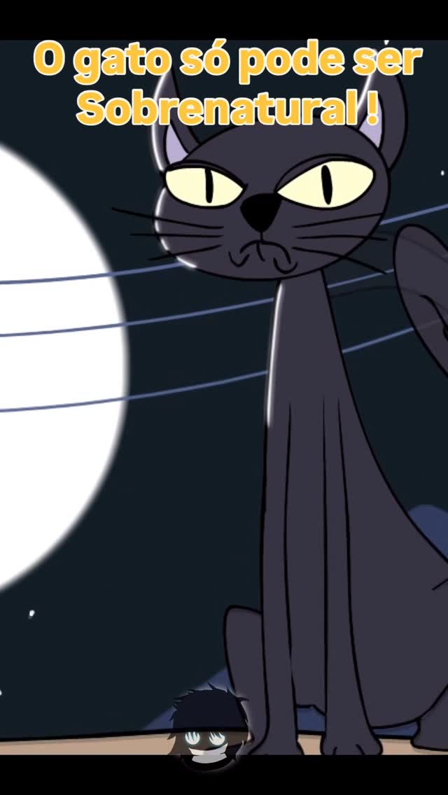 O gato só pode ser sobrenatural #gatosfofos #cats #humor #amopets #seleçãobrasileira