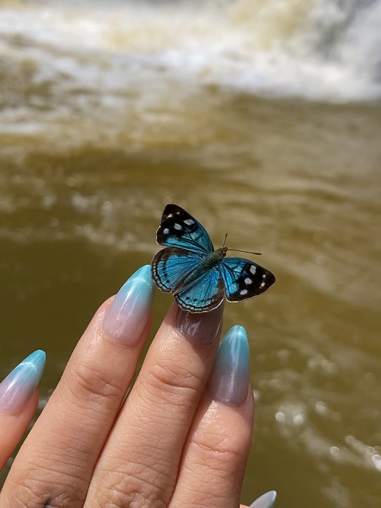 a natureza sempre encontra um jeito de tocar quem sabe sentir…
não foi coincidência, foi conexão 🦋🍃