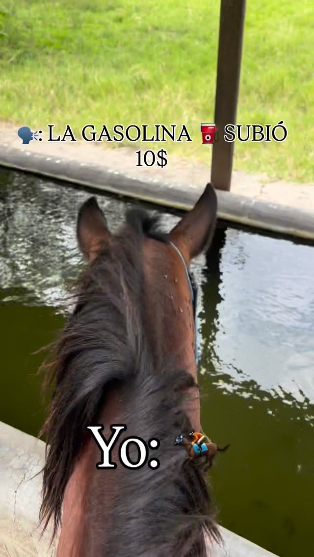 Y es fácil 🤡🤣🤣🤣 

#explore #reels #caballo #caballista #campo
