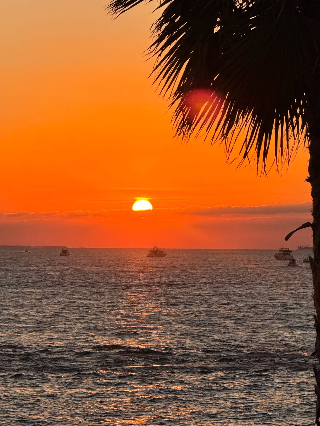 🌴☀️