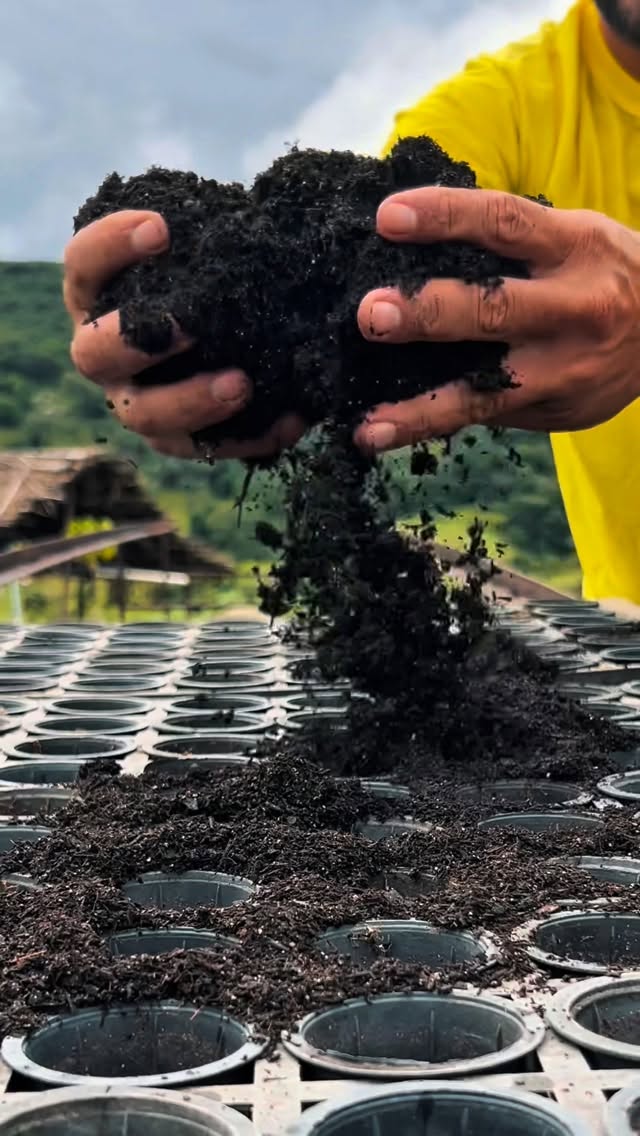 🇧🇷 Hoje celebramos o Dia do Planeta Terra 🌎🌱#nordesta #alagoas #reflorestamento #pedratalhada #sustentabilidade .

Uma data que nos lembra que o nosso planeta sustenta a vida e garante o alimento.

Cuidar da Terra é um compromisso com o futuro. Preservar o solo e agir com responsabilidade é garantir que esse recurso continue gerando vida e oportunidades.

A Nordesta trabalha diariamente para proteger a nossa bela planeta, investindo em um futuro melhor. Nossas ações atuam na agricultura, na 