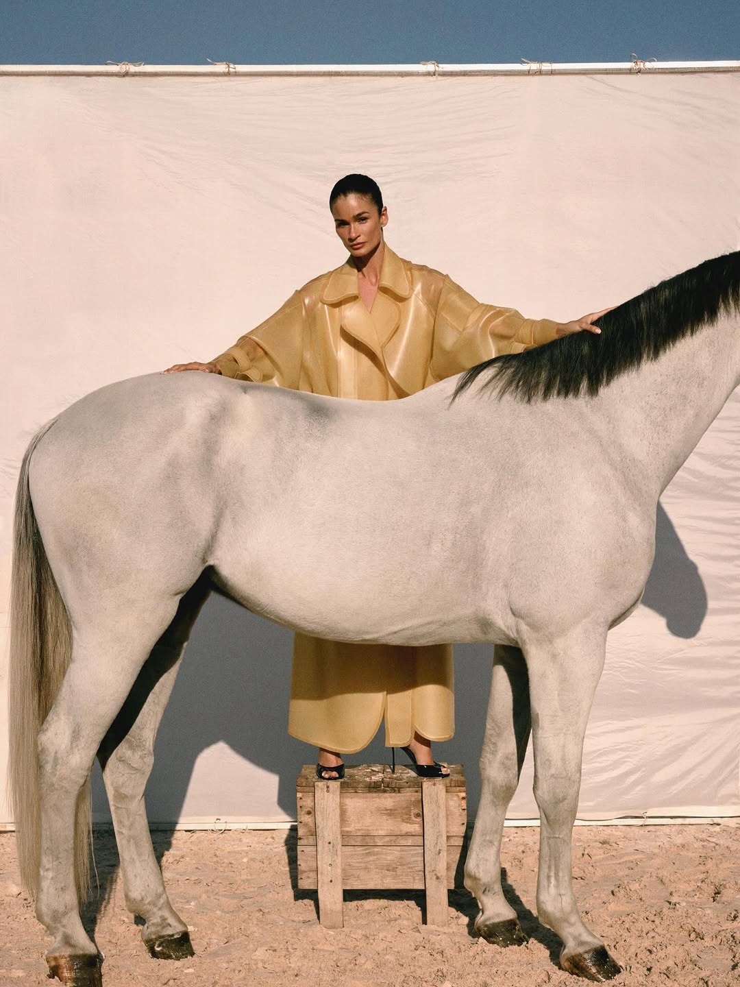 @caropita Para @bazaarbr •

Carol veste @shopfrancesca @maisonvalentino @gucci @polohalflauren