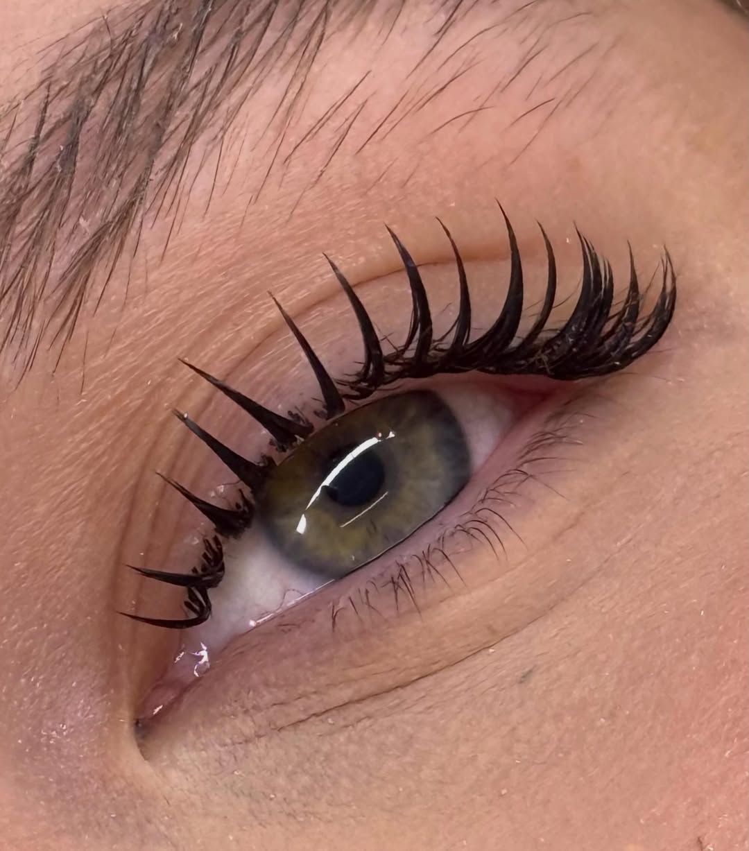 EFEITO LAMI🩷✨

#efeitolami #tendênciasgringas #lash #lashes