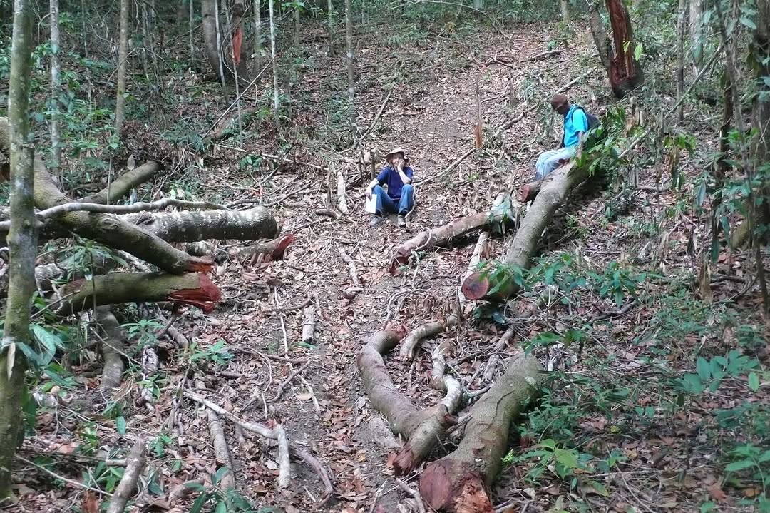 Neste Dia nacional da Mata Atlântica, lembramos da história de Dra. Anita Studer Chardet, uma mulher que dedicou sua vida à restauração da biodiversidade. Chegando ao Brasil para realizar sua tese de doutorado sobre a biodiversidade regional, a Dra. Anita deparou-se com o intenso desmatamento da Mata Atlântica nordestina. Diante essa realidade, fundou a Associação Nordesta em 1985, dedicada a proteção das florestas e a educação ambiental. Anos depois, em 1989, ela conseguiu preservar cerca de 5.