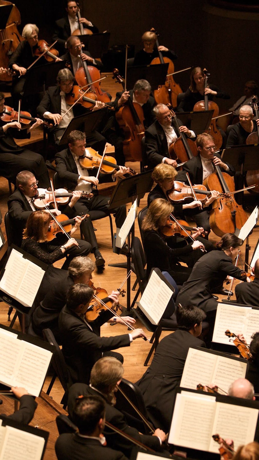 Escutar música clássica (ou melhor dizendo, erudita) realmente te torna mais inteligente? Teoricamente não, mas… #musicaclassica #estudos #cultura #arte #beautyandbrains
