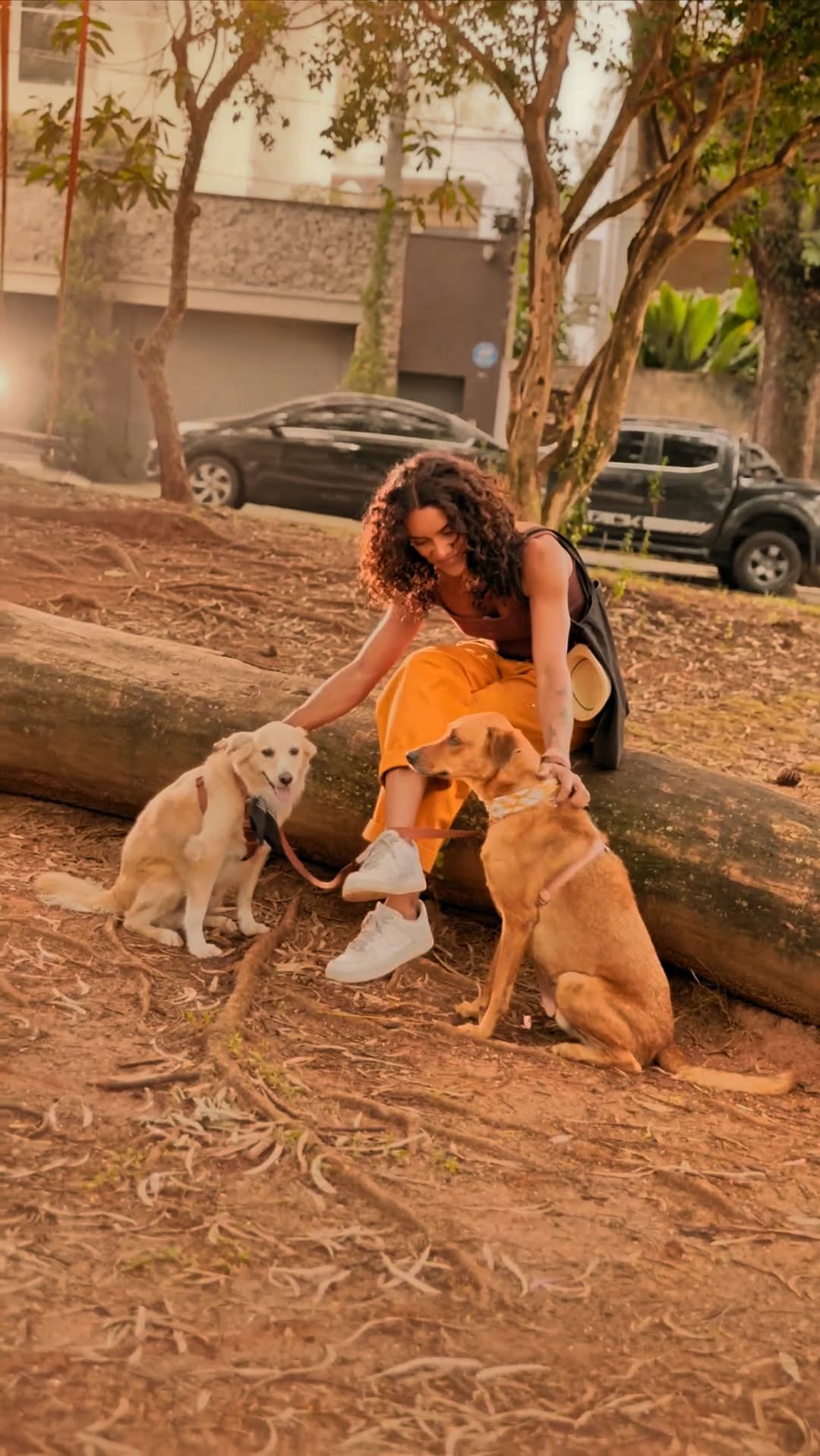 Mais um dia na rotina dos meus pets, e com @goldendeverdade o alimento completo e sem corantes e aromatizantes, o dia do seu pet a rotina fica melhor ainda, por que alem da nova embalagem agora traz antioxidantes naturais, que ajudam a preservar os nutrientes e o sabor do alimento. Seu amigo merece viver a melhor hora do dia dele, com GoldeN #Publi