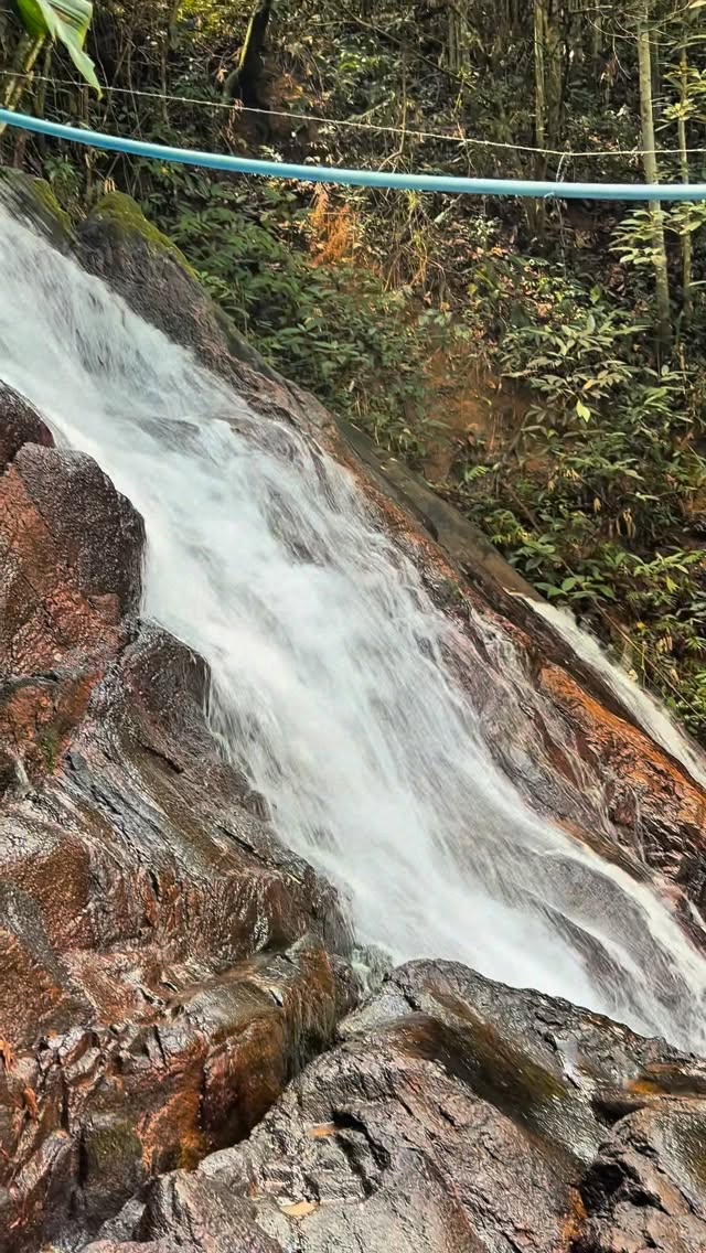 🌱 💧Há mais de 40 anos, a Associação Nordesta trabalha pela proteção da Mata Atlântica e dos recursos hídricos no Nordeste do Brasil.
Através do reflorestamento, já ajudamos a proteger e revitalizar mais de 200 nascentes de água, restaurando florestas, preservando cachoeiras e fortalecendo o equilíbrio do ciclo hidrológico. 🌱💧

O reflorestamento reduz a erosão, melhora a infiltração da água no solo, protege a biodiversidade e garante mais qualidade de vida para as comunidades locais.
Preserva
