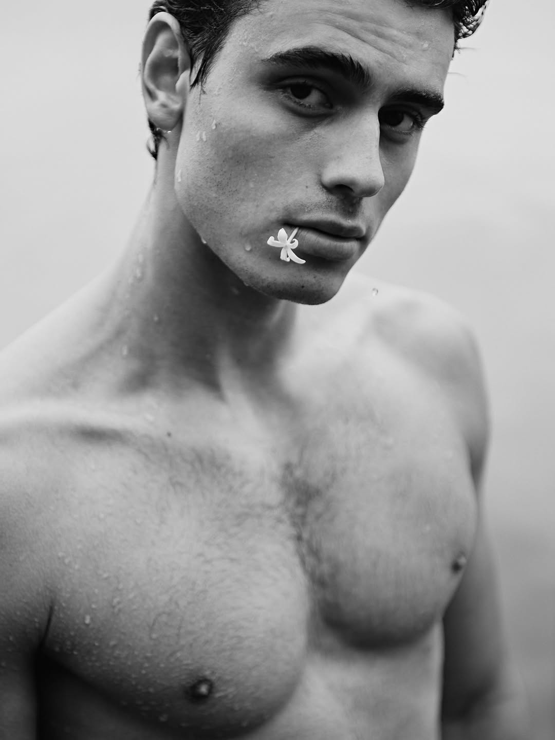 De um tempo atrás com o excepcional e único @pedropeo_ 

Lembro deste dia, estava muito frio e ao fim, foi muito satisfatório o shooting! Pedro sempre sabendo captar cada detalhe de forma mágica..

Sejamos arte sempre, o real, está no cuidado, nos pequenos detalhes.. 

A vida é linda, abraços!