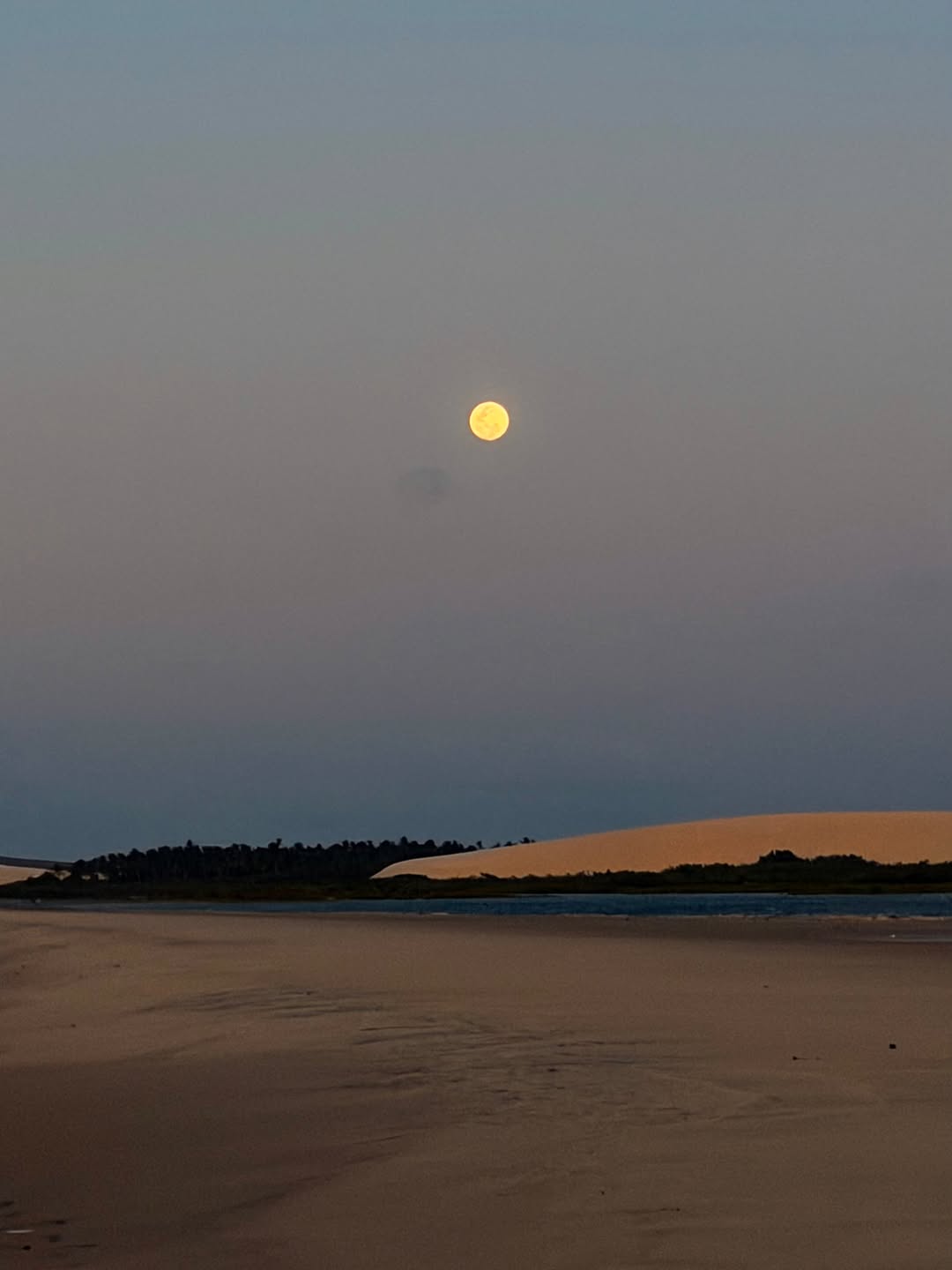 A vida é cheia de beleza. Perceba-a 🍃
✨JERICOACOARA ✨