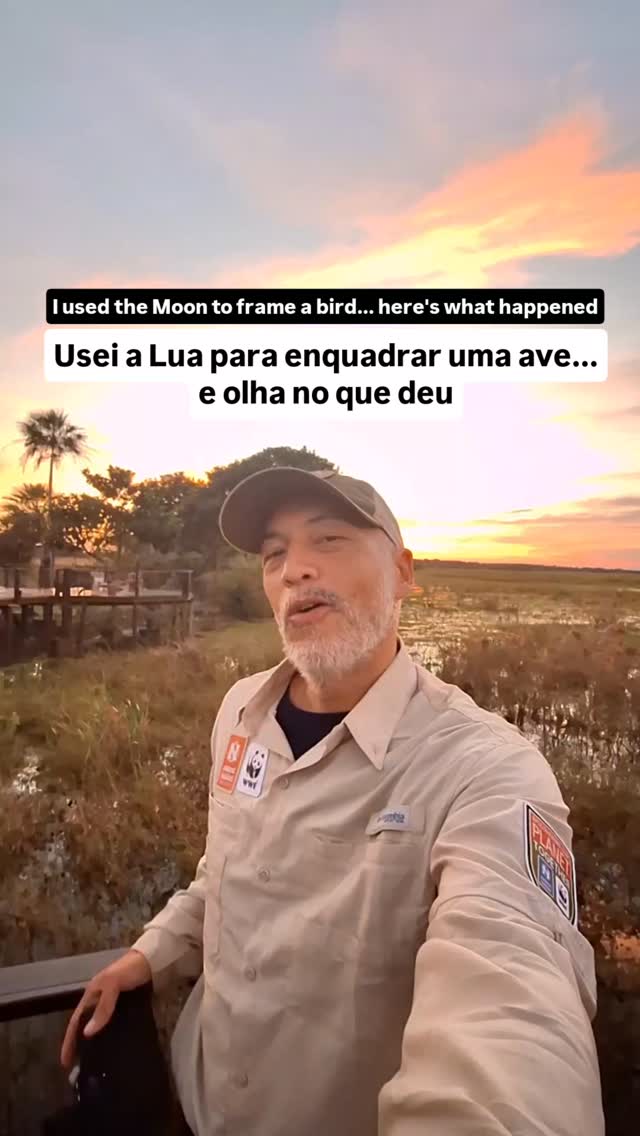 Vi uma curicaca-pantaneira pousada e pensei: "E se eu usar a Lua como moldura?"

Paramos o caminhão e começou o desafio de encontrar o ângulo perfeito. Deixamos os hóspedes irem primeiro, mas quanto mais o tempo passava, mais a Lua subia e mais difícil era achar o enquadramento perfeito.

Quando achegou a minha vez, a lua já tava meio alta e eu achei que já tinha perdido a foto... 

Decidi deitar e me espremer no chão. Fui me movento pra frente, pra trás, pra um lado e pro outro, até que a cena 