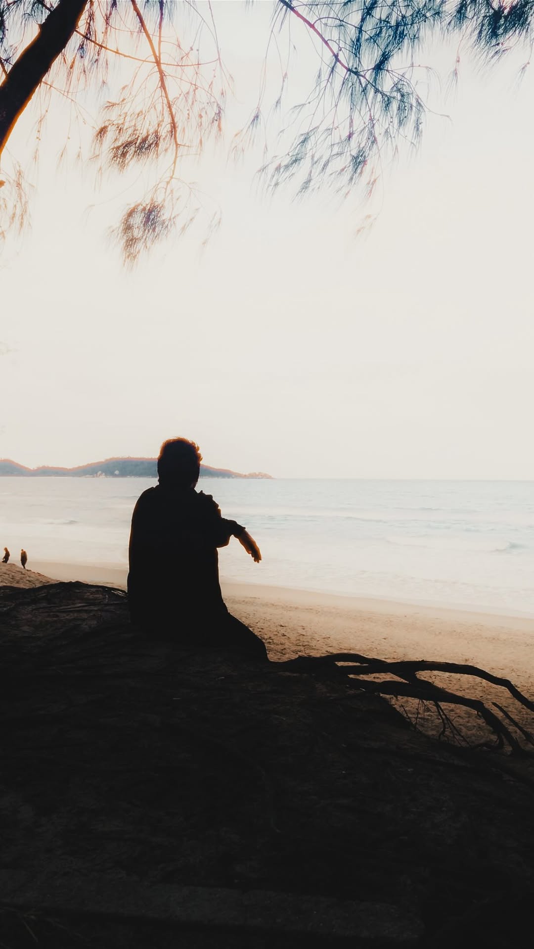 Depois de 3 anos morando em Balneário Camboriú, enfim, eu volto para Florianópolis buscando uma vida mais tranquila. Eu tomei essa decisão pois aqui é o lugar onde eu me sinto vivo de fato.

Aos meus 24 anos eu entendi que o meu trabalho não pode ser meu hobby, independente do quanto eu ame ele. Vim aqui para viver, para sentir experiências novas em uma cidade literalmente mágica.

#florianópolis #lifestyle