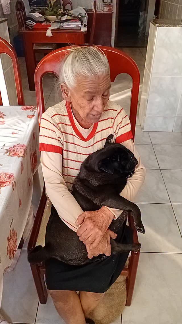 Pessoal esse  Tchaozinho  gosta muito de  colo