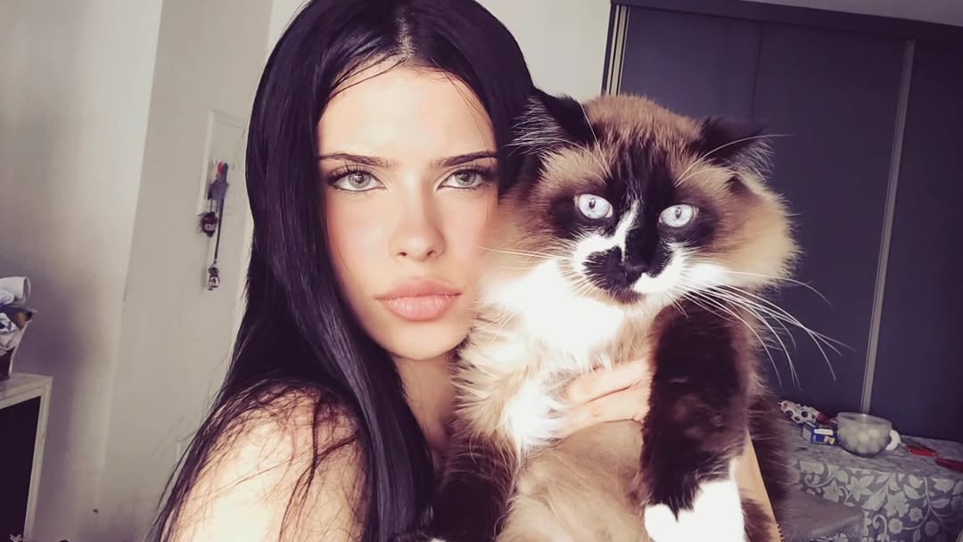 w my caaaaat #explore #lovemycat