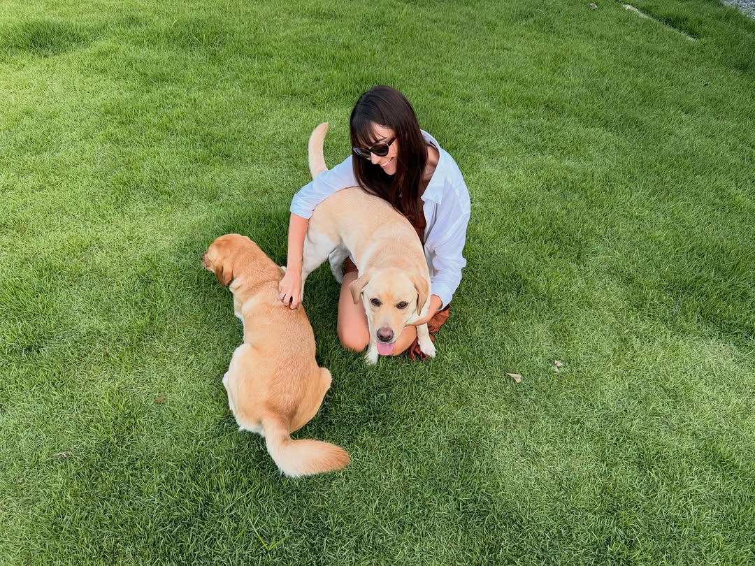 Cães-guia e cães de assistência transformam vidas todos os dias 🫶

Tbt de uma das minhas visitas à ONG @caoguia.hkeller, que realiza um trabalho maravilhoso aqui no Sul, promovendo autonomia, inclusão e bem-estar para tantas pessoas.. 

Você também pode fazer parte dessa missão 💙
Vale a pena conhecer mais sobre a @caoguia.hkeller e apoiar essa causa tão nobre 
#caoguia #caodeassistencia #inclusao #missão #tbt