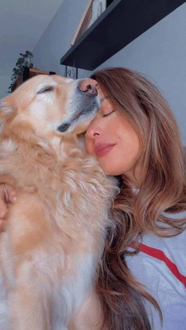 Eu e mais quem??? 

❤️😅🫶🏼🐾🦮
#diadosnamorados❤️ #meme #avidaacontecendo #zico #maioramordomundo