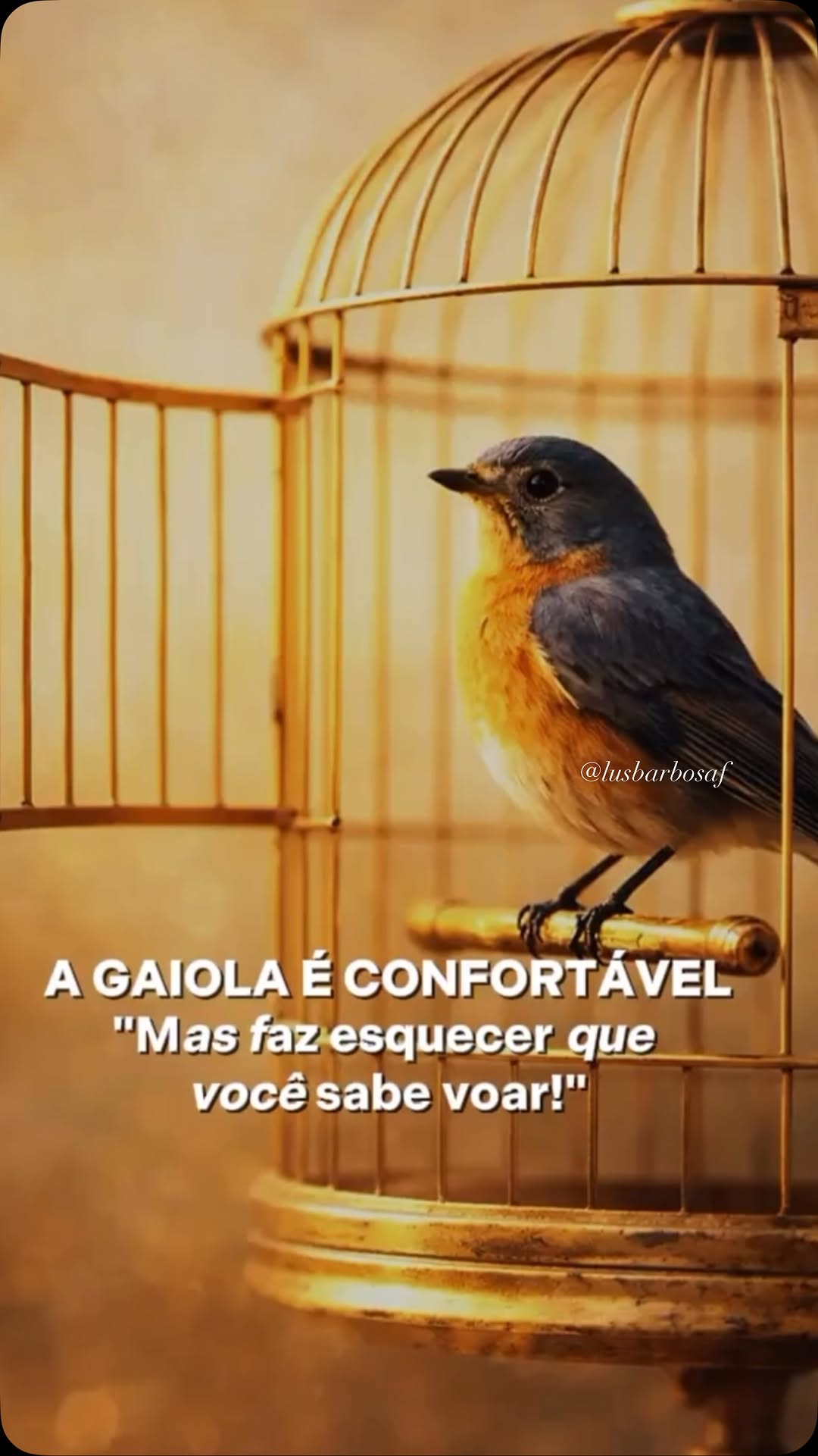 Nem toda gaiola tem grades.
Algumas são feitas de medo.
Outras, de culpa.
Há aquelas construídas pelas opiniões alheias, pelas expectativas que tentamos atender ou pelas histórias que insistimos em carregar.
Muitas vezes, a porta está aberta, mas permanecemos presos porque acreditamos que não somos capazes de sair.
A liberdade começa quando percebemos que nem toda prisão está do lado de fora. Algumas existem dentro de nós. E é quando encontramos coragem para questionar nossos limites, que deixam